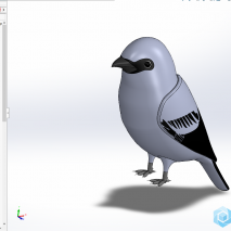 分享SolidWorks的鸟模型